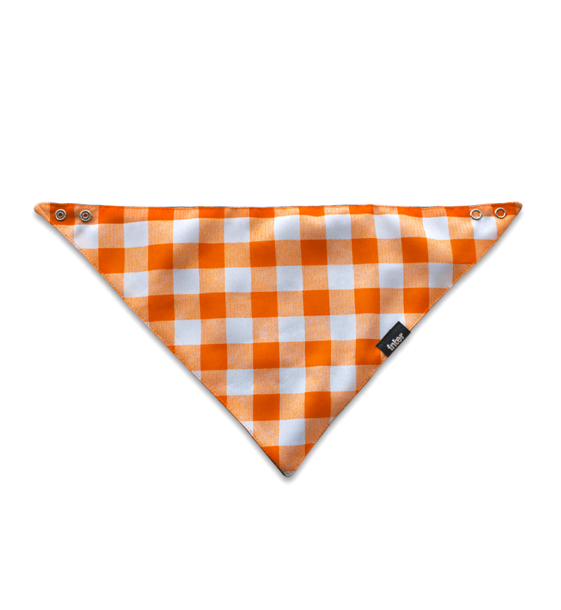 bandana-pet